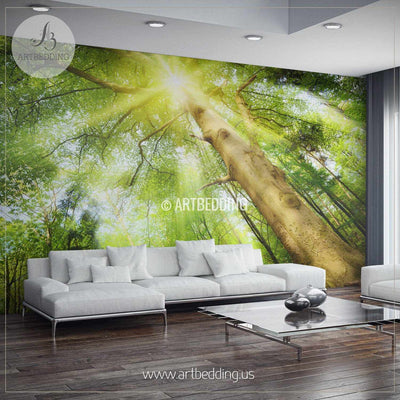 Sun-rays setting a Magical Mood in Forest Wall Mural, Photo mural Self Adhesive Peel & Stick, wall mural wall mural