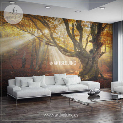 Autumn Forest Magical Old Tree Wall Mural, Photo mural Self Adhesive Peel & Stick, wall mural wall mural